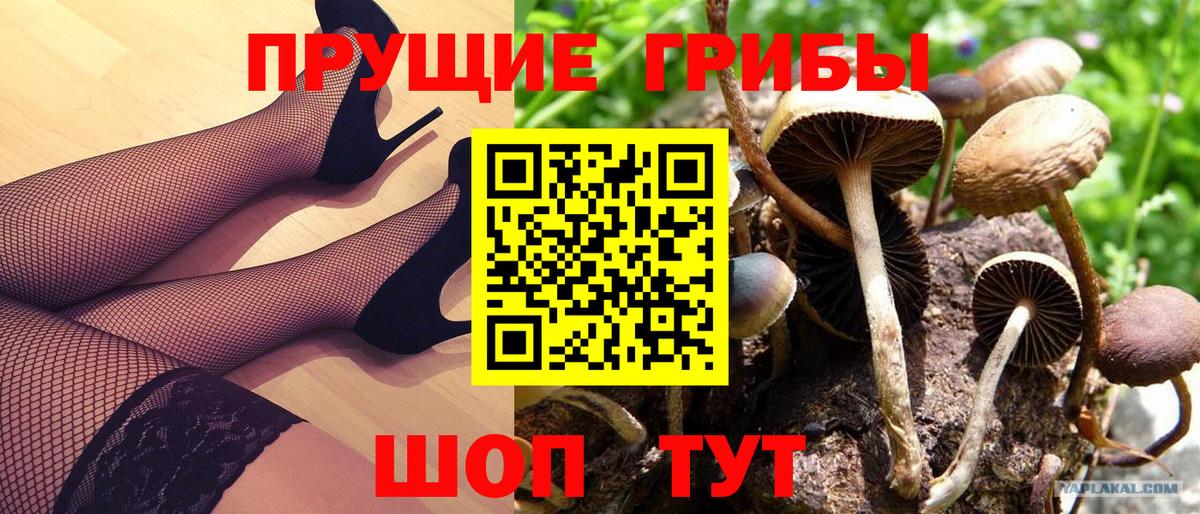 Рыбинск  Галлюциногенные грибы GOLDEN TEACHER  Вход с VPN 