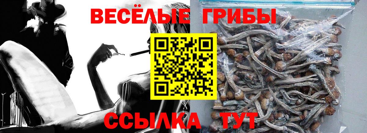 Галлюциногенные грибы Cubensis Рыбинск